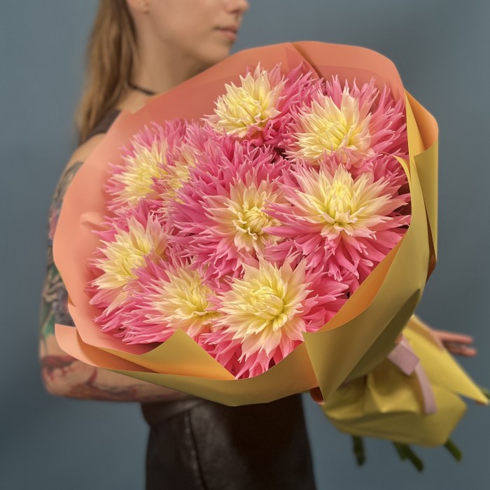 9 розово-желтых игольчатых георгин Джаст Меррид